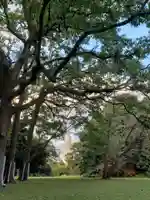 明治神宮の周辺