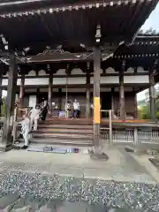 般若寺 ❁﻿コスモス寺❁(奈良県)