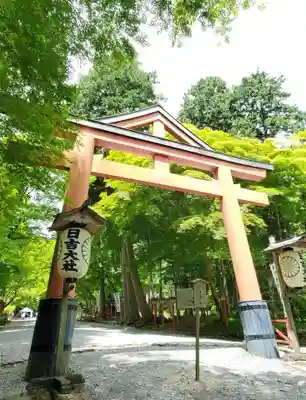 日吉大社の鳥居