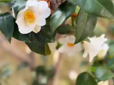 西方山極楽寺(岐阜県)