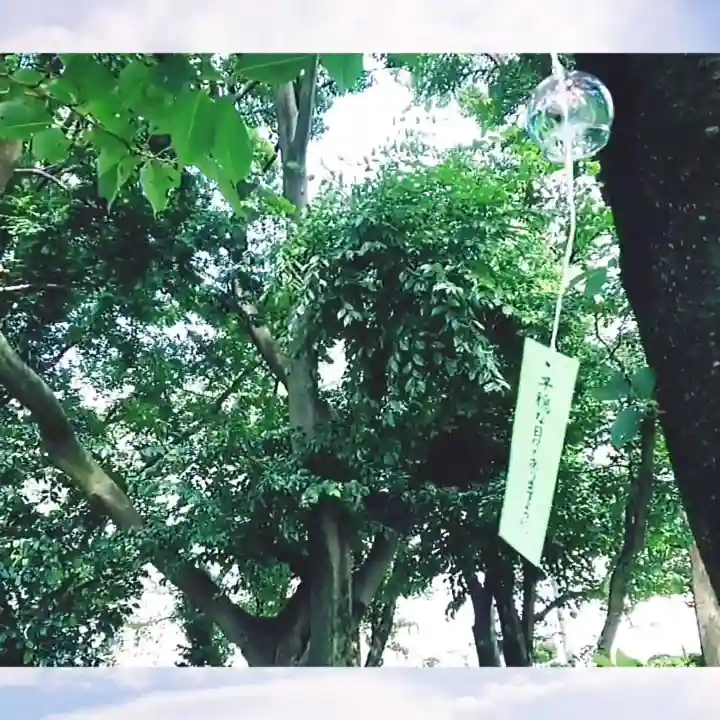 神明社(国府宮神明社)の自然