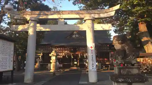 正ノ木稲荷 稲積神社の鳥居