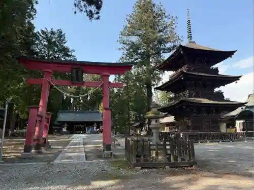 若一王子神社(長野県)