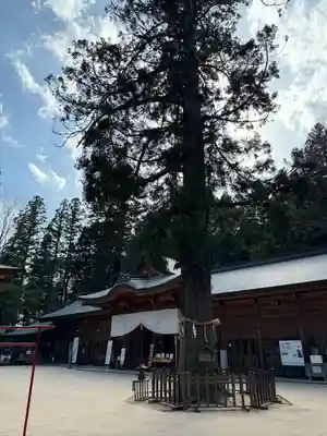 穂高神社本宮(長野県)