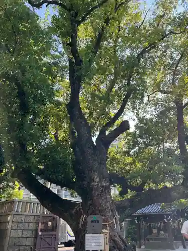 難波神社(大阪府)