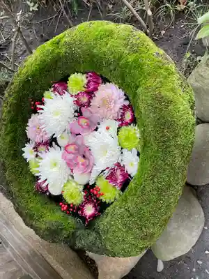 菅生神社(愛知県)