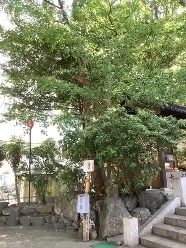 蝮ヶ池八幡宮の自然