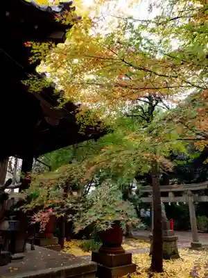 赤坂氷川神社(東京都)