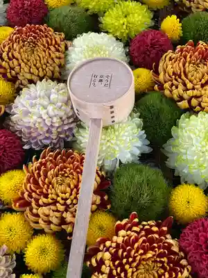 くろ谷 金戒光明寺の手水舎