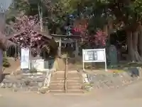 西八朔杉山神社(神奈川県)