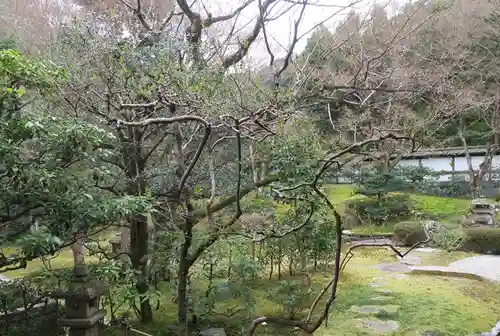 御寺 泉涌寺(京都府)