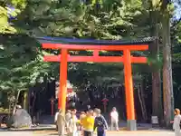 霧島神宮の鳥居