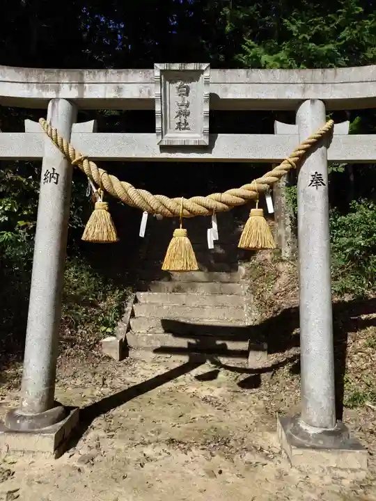 白山社(愛知県)