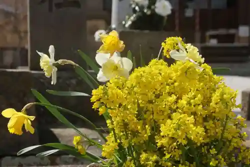 熊野福藏神社の手水舎