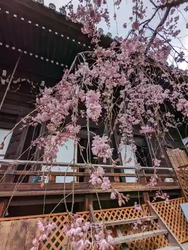 平等寺（因幡堂）(京都府)