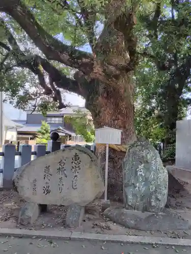 伊豫豆比古命神社(愛媛県)