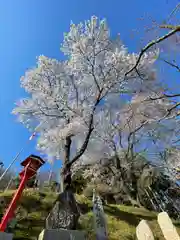 白鳥神社の自然