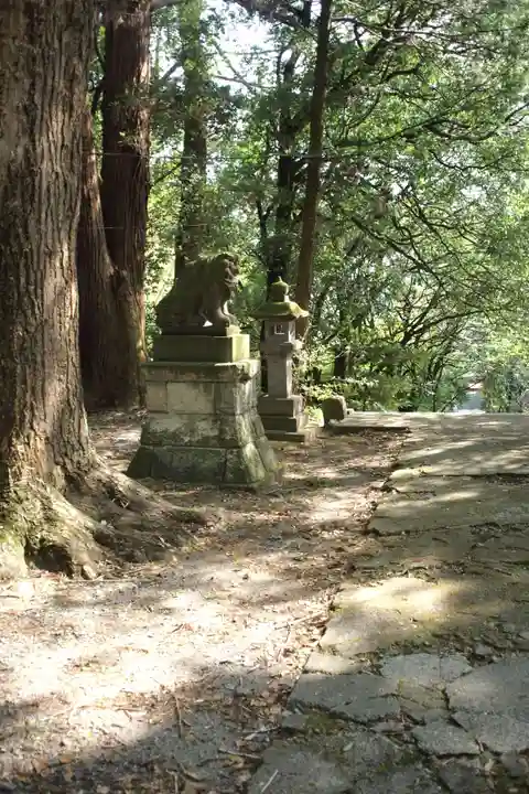 塙田八幡宮の狛犬