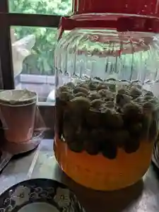 玉眞院玉川大師の庭園(2023年05月07日(日) 14時36分13秒投稿)