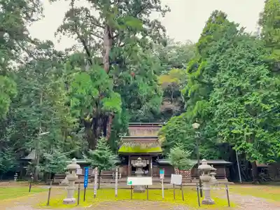 若狭姫神社（若狭彦神社下社）(福井県)