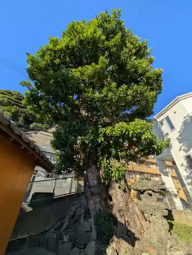 根岸町王子稲荷社(神奈川県)
