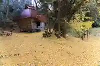 乙宿禰神社の自然