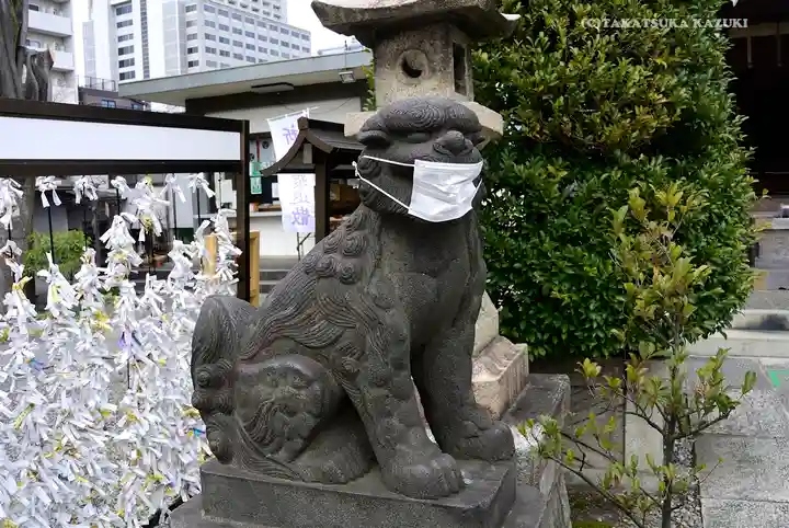 白鬚神社の狛犬