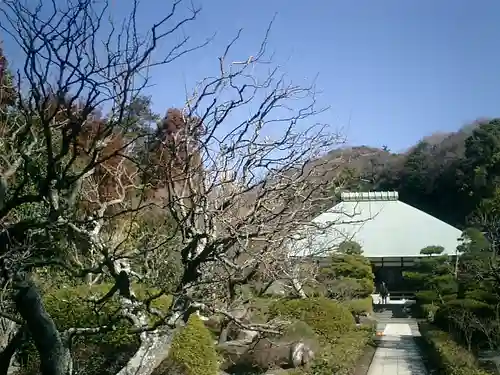 浄妙寺のその他建物