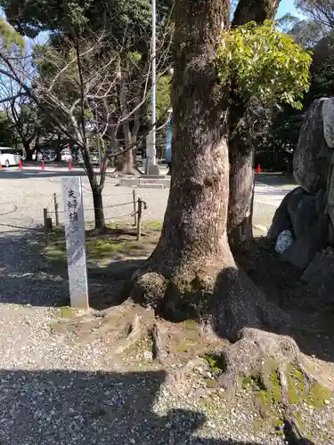 真清田神社の自然