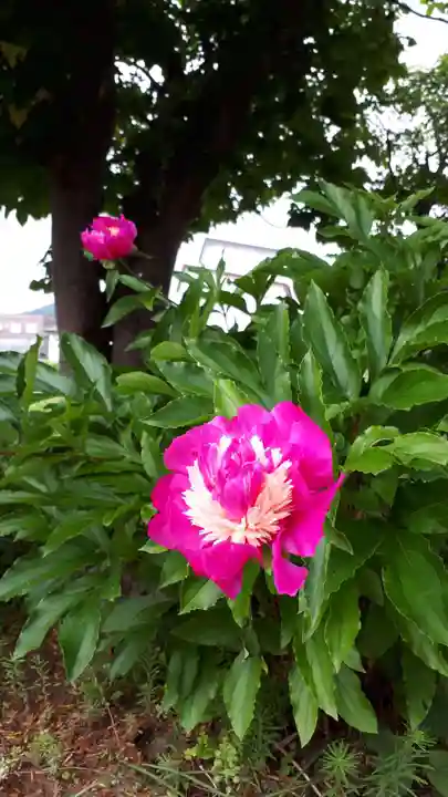 極楽山 浄土寺(北海道)