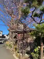 教善寺(神奈川県)