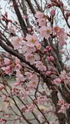 本法寺(京都府)