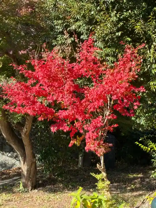 大仁神社(静岡県)