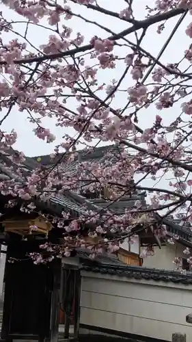 蓮経寺(滋賀県)