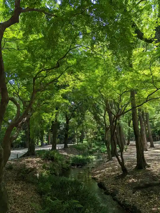賀茂御祖神社(下鴨神社)(京都府)