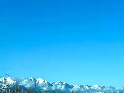 穂高神社本宮の自然