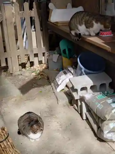 阿邪訶根神社(福島県)