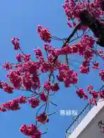 海徳寺(東京都)