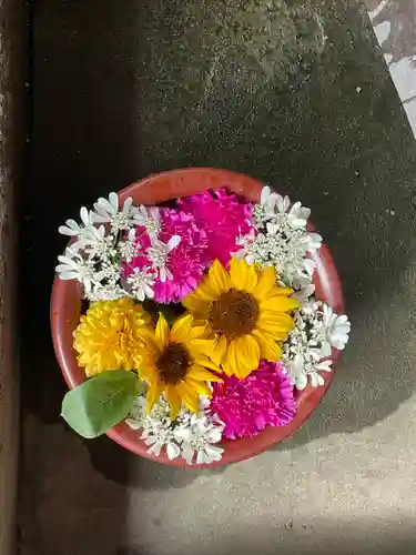 菅生神社(愛知県)