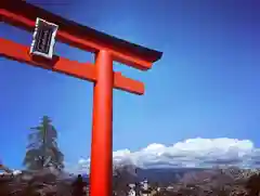 富士山本宮浅間大社の鳥居