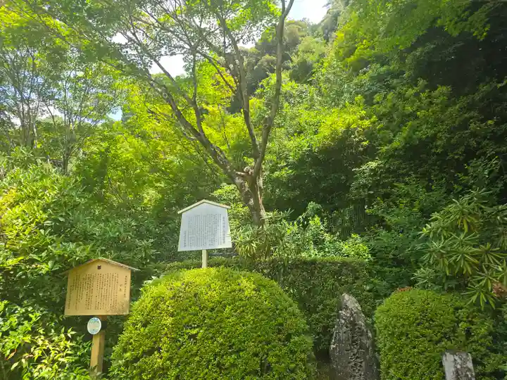 三室戸寺(京都府)