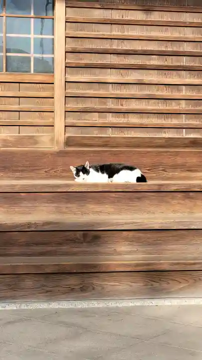 安養院の{uncategorized: "未分類", other: "その他", undefined: "問題あり", building: "その他建物", grave: "お墓", sacred_gate: "鳥居", guardian: "狛犬", statue: "像", buddha: "仏像", history: "歴史", nature: "自然", garden: "庭園", animal: "動物", pagoda: "塔", temizu: "手水舎", mountain_gate: "山門・神門", sanctuary: "本殿・本堂", subordinate: "末社・摂社", art: "芸術", scenery: "景色", jizo: "地蔵", ema: "絵馬", goshuin: "御朱印", omikuji: "おみくじ", items: "授与品その他", amulet: "お守り", goshuincho: "御朱印帳", eats: "食事", festival: "お祭り", votive_dance: "神楽", shichigosan: "七五三参", wedding: "結婚式", experience: "体験その他", initially: "初詣", around: "周辺", anti_infection: "感染症対策"}