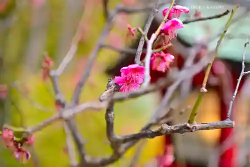 岡村天満宮(神奈川県)