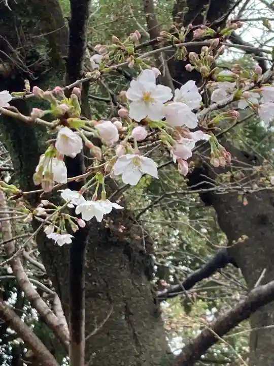 上野東照宮の{uncategorized: "未分類", other: "その他", undefined: "問題あり", building: "その他建物", grave: "お墓", sacred_gate: "鳥居", guardian: "狛犬", statue: "像", buddha: "仏像", history: "歴史", nature: "自然", garden: "庭園", animal: "動物", pagoda: "塔", temizu: "手水舎", mountain_gate: "山門・神門", sanctuary: "本殿・本堂", subordinate: "末社・摂社", art: "芸術", scenery: "景色", jizo: "地蔵", ema: "絵馬", goshuin: "御朱印", omikuji: "おみくじ", items: "授与品その他", amulet: "お守り", goshuincho: "御朱印帳", eats: "食事", festival: "お祭り", votive_dance: "神楽", shichigosan: "七五三参", wedding: "結婚式", experience: "体験その他", initially: "初詣", around: "周辺", anti_infection: "感染症対策"}