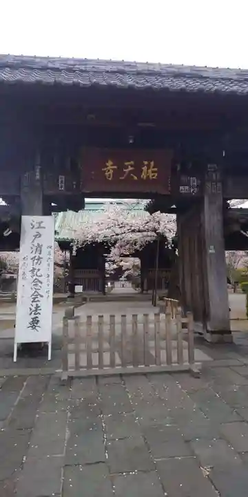 祐天寺の山門・神門