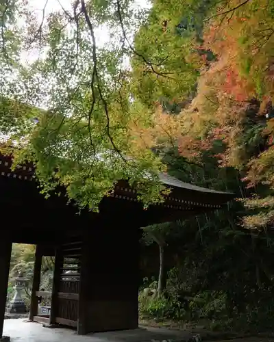 普門寺(切り絵御朱印発祥の寺)(愛知県)