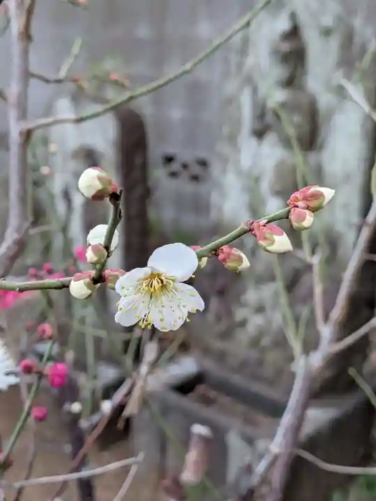 田端神社(東京都)
