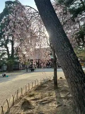 毛越寺(岩手県)