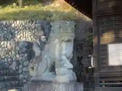 白鬚神社の狛犬