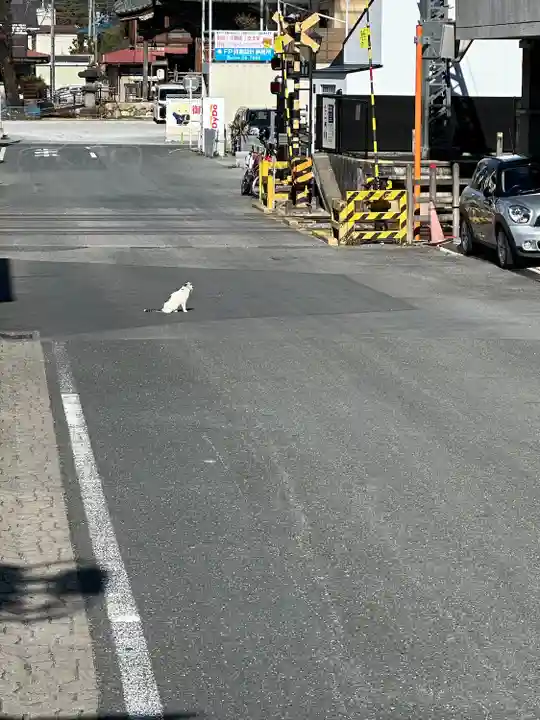 秩父神社(埼玉県)